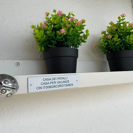 Apartman Casa Dei Patalli *